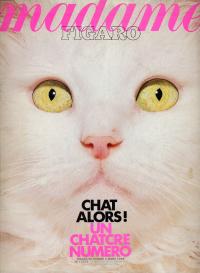 1988, Chat chinois